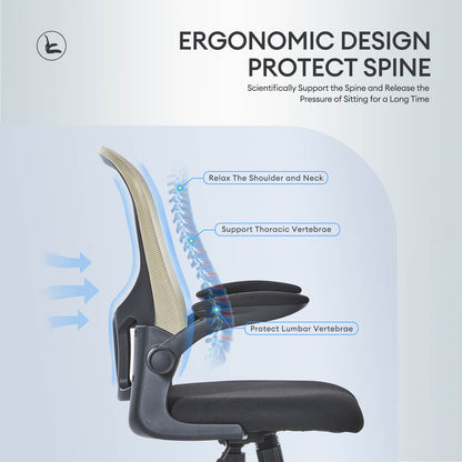 Ergonomic Adjustable Mesh Office Chair, Lumbar Support, 4 Colors