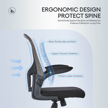 Ergonomic Adjustable Mesh Office Chair, Lumbar Support, 4 Colors