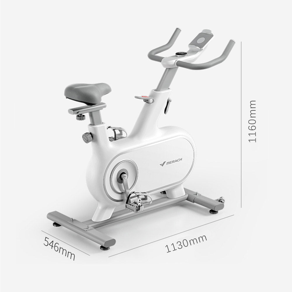 Eeeza 6KG Flywheel Spin Bike Home Gym Train - White